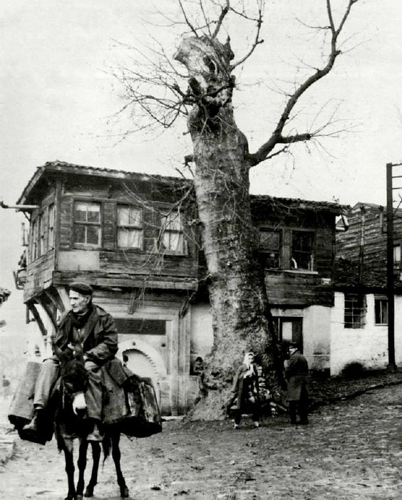 sulukule