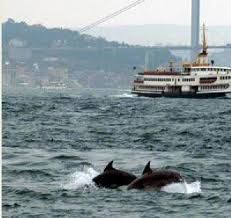 ah-guzel-istanbul