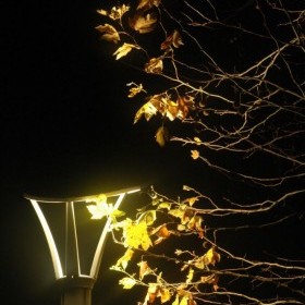 Yolda...