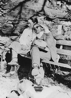 Bozkırkurdu
