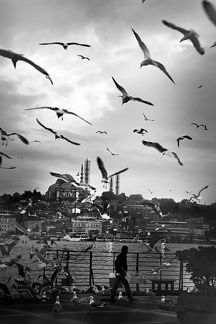 Nasıl kavuşursa