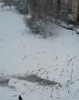 Şu anda bu satırları okuyorsan