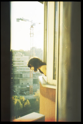 Bir Kedi Sahibini Yitirirse