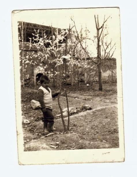 Yağmurlu göz şiire bakıyor