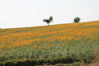 Şarkılar Kitabı