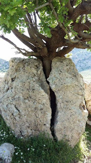 İki Olmak