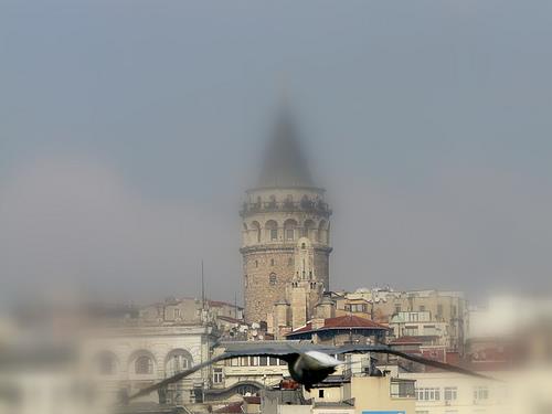 Yaşama İsteği