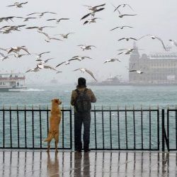 haydarpasa