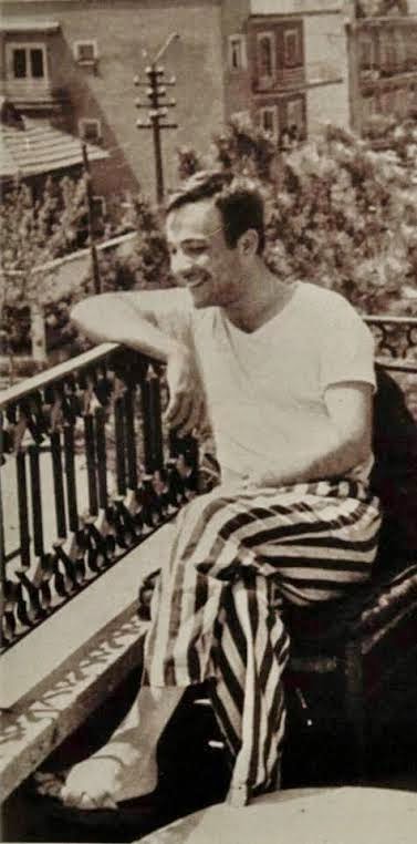Taneler