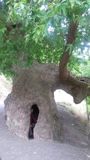 Rüzgârla Yoldaş