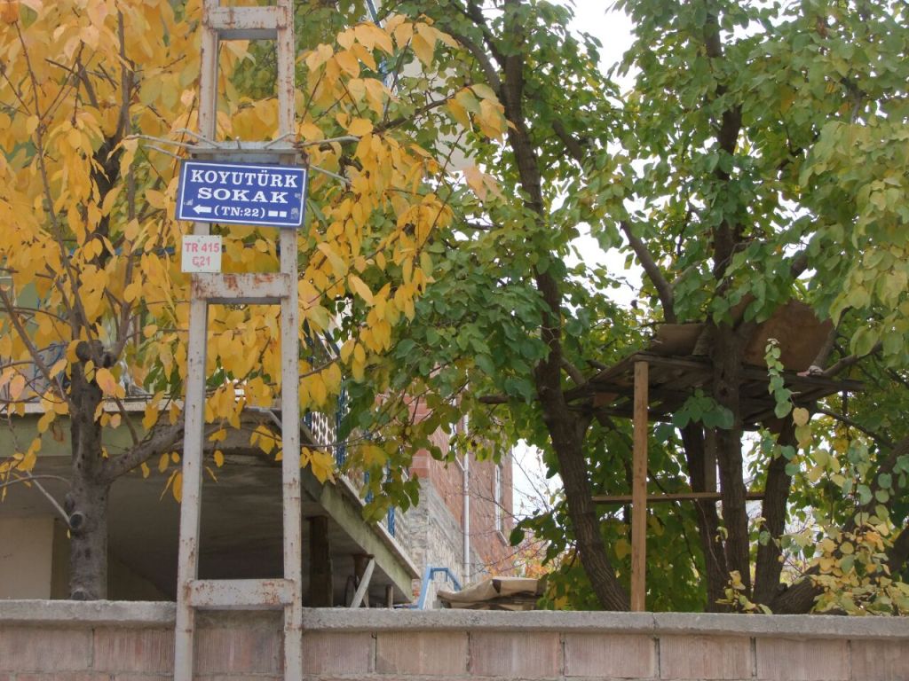 Babamın gözleri önündeydi