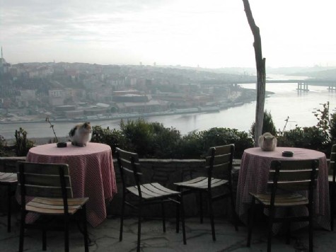 Yitikçi