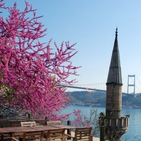 Perçemli Sokak'tan