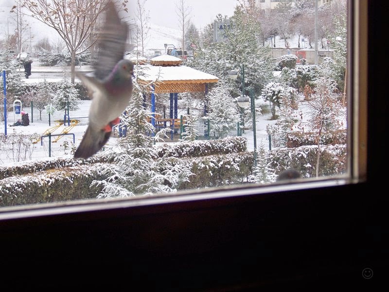 uzak çok uzaklara bakmakla nişanlı