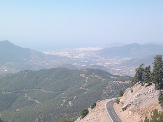 Taş