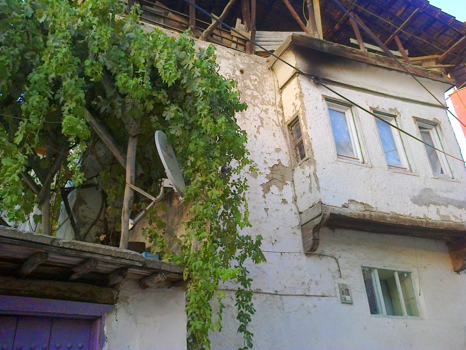 Mazideki Yaşam - Malatya
